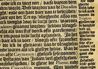 An illustration from Historie naturael ende morael van de Westersche Indien : waer inne ghehandelt wordt van de merckelijckste dinghen des hemels, elementen, metalen, planten ende ghedierten van dien : als oock de manieren, ceremonien, wetten, regeeringen ende oorloghen der Indianen. (1598)