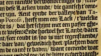 An illustration from Historie naturael ende morael van de Westersche Indien : waer inne ghehandelt wordt van de merckelijckste dinghen des hemels, elementen, metalen, planten ende ghedierten van dien : als oock de manieren, ceremonien, wetten, regeeringen ende oorloghen der Indianen. (1598)