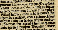 An illustration from Historie naturael ende morael van de Westersche Indien : waer inne ghehandelt wordt van de merckelijckste dinghen des hemels, elementen, metalen, planten ende ghedierten van dien : als oock de manieren, ceremonien, wetten, regeeringen ende oorloghen der Indianen. (1598)