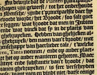 An illustration from Historie naturael ende morael van de Westersche Indien : waer inne ghehandelt wordt van de merckelijckste dinghen des hemels, elementen, metalen, planten ende ghedierten van dien : als oock de manieren, ceremonien, wetten, regeeringen ende oorloghen der Indianen. (1598)