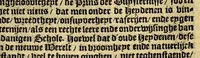 An illustration from Historie naturael ende morael van de Westersche Indien : waer inne ghehandelt wordt van de merckelijckste dinghen des hemels, elementen, metalen, planten ende ghedierten van dien : als oock de manieren, ceremonien, wetten, regeeringen ende oorloghen der Indianen. (1598)