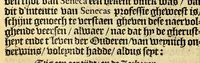 An illustration from Historie naturael ende morael van de Westersche Indien : waer inne ghehandelt wordt van de merckelijckste dinghen des hemels, elementen, metalen, planten ende ghedierten van dien : als oock de manieren, ceremonien, wetten, regeeringen ende oorloghen der Indianen. (1598)