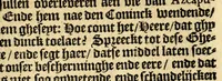 An illustration from Historie naturael ende morael van de Westersche Indien : waer inne ghehandelt wordt van de merckelijckste dinghen des hemels, elementen, metalen, planten ende ghedierten van dien : als oock de manieren, ceremonien, wetten, regeeringen ende oorloghen der Indianen. (1598)