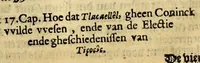 An illustration from Historie naturael ende morael van de Westersche Indien : waer inne ghehandelt wordt van de merckelijckste dinghen des hemels, elementen, metalen, planten ende ghedierten van dien : als oock de manieren, ceremonien, wetten, regeeringen ende oorloghen der Indianen. (1598)