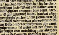 An illustration from Historie naturael ende morael van de Westersche Indien : waer inne ghehandelt wordt van de merckelijckste dinghen des hemels, elementen, metalen, planten ende ghedierten van dien : als oock de manieren, ceremonien, wetten, regeeringen ende oorloghen der Indianen. (1598)