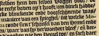An illustration from Historie naturael ende morael van de Westersche Indien : waer inne ghehandelt wordt van de merckelijckste dinghen des hemels, elementen, metalen, planten ende ghedierten van dien : als oock de manieren, ceremonien, wetten, regeeringen ende oorloghen der Indianen. (1598)