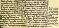 An illustration from Historien der Königkreich, Hispannien, Portugal, vnd Aphrica, darauss dann zusehen, in welcher Zeit, sonderlich Portugal, seinen Anfang genommen, von weine dasselbig zum Königreich erhaben, was dieselbigen Könige für Krieg vnnd Gewerb, zu Wasser vnnd Land geführet. ... (1589)