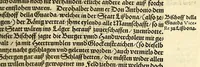 An illustration from Historien der Königkreich, Hispannien, Portugal, vnd Aphrica, darauss dann zusehen, in welcher Zeit, sonderlich Portugal, seinen Anfang genommen, von weine dasselbig zum Königreich erhaben, was dieselbigen Könige für Krieg vnnd Gewerb, zu Wasser vnnd Land geführet. ... (1589)