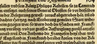 An illustration from Historien der Königkreich, Hispannien, Portugal, vnd Aphrica, darauss dann zusehen, in welcher Zeit, sonderlich Portugal, seinen Anfang genommen, von weine dasselbig zum Königreich erhaben, was dieselbigen Könige für Krieg vnnd Gewerb, zu Wasser vnnd Land geführet. ... (1589)