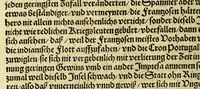 An illustration from Historien der Königkreich, Hispannien, Portugal, vnd Aphrica, darauss dann zusehen, in welcher Zeit, sonderlich Portugal, seinen Anfang genommen, von weine dasselbig zum Königreich erhaben, was dieselbigen Könige für Krieg vnnd Gewerb, zu Wasser vnnd Land geführet. ... (1589)