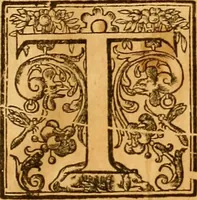 An illustration from The historie of the civill warres of France (1647)