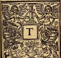 An illustration from The historie of the civill warres of France (1647)