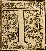 An illustration from The historie of the civill warres of France (1647)