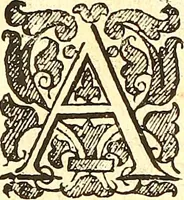 An illustration from The historie of the civill warres of France (1647)