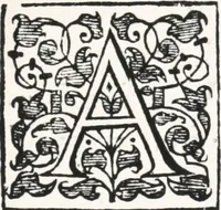 An illustration from The historie of the perfect-cursed-blessed man .. (1628)