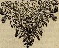 An illustration from Historie van de reformatie der kerke van Engeland (1686)