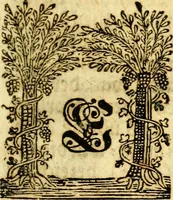 An illustration from Historische Beschreibung des Herzogthums Würtemberg und alle desselben Städte, Klöster und darzu gehörigen Aemter (1752)