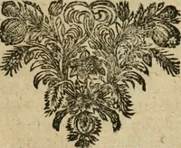 An illustration from Historisch verhael en politique bedeckingen aengaende de bestieringe van staet-en oorloghs-saken, voor-gevallen onder de bedieningen van de Heeren Cornelis en Johan de Witt (1677)