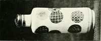 Picture 56 of 82 from A history and description of Chinese porcelain (1901), leaf 260