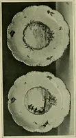 An illustration from A history and description of the old French faïence : with an account of the revival of faïence painting in France (1903)