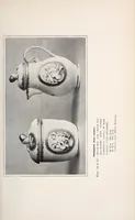 An illustration from A history and description of French porcelain (1905)