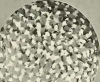 An illustration from A history and description of Chinese porcelain (1901)