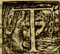 An illustration from The historye of Italye : a booke exceding profitable to be red: because it intreateth of the astate of many and dyuers common weales, how they haue bene, and now be gouerned (1561)