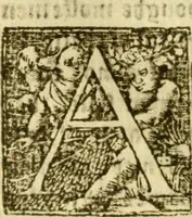 An illustration from The historye of Italye : a booke exceding profitable to be red: because it intreateth of the astate of many and dyuers common weales, how they haue bene, and now be gouerned (1561)