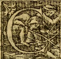 An illustration from The historye of Italye : a booke exceding profitable to be red: because it intreateth of the astate of many and dyuers common weales, how they haue bene, and now be gouerned (1561)