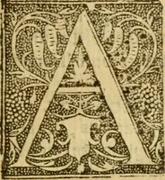 An illustration from The historye of Italye : a booke exceding profitable to be red: because it intreateth of the astate of many and dyuers common weales, how they haue bene, and now be gouerned (1561)