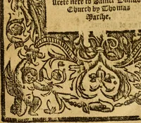 An illustration from The historye of Italye : a booke exceding profitable to be red: because it intreateth of the astate of many and dyuers common weales, how they haue bene, and now be gouerned (1561)