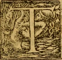 An illustration from The historye of Italye : a booke exceding profitable to be red: because it intreateth of the astate of many and dyuers common weales, how they haue bene, and now be gouerned (1561)