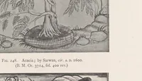 Picture 6 of 6 from A history of fine art in India and Ceylon : from the earliest times to the present day (1911), leaf 503