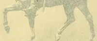 An illustration from The history of American sculpture (1903)