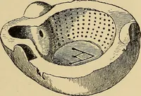 An illustration from History of ancient pottery, Greek, Etruscan, and Roman (1905)
