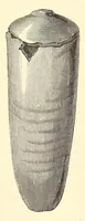 An illustration from History of ancient pottery (1858)