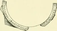 An illustration from History of ancient pottery, Greek, Etruscan, and Roman (1905)