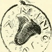 An illustration from History of ancient pottery, Greek, Etruscan, and Roman (1905)