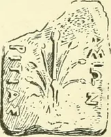 An illustration from History of ancient pottery, Greek, Etruscan, and Roman (1905)
