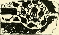 An illustration from History of ancient pottery, Greek, Etruscan, and Roman (1905)
