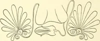 An illustration from History of ancient pottery, Greek, Etruscan, and Roman (1905)