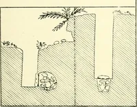 An illustration from History of ancient pottery, Greek, Etruscan, and Roman (1905)