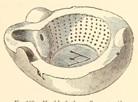 Picture 13 of 18 from History of ancient pottery (1858), leaf 323