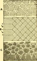 An illustration from History of ancient pottery, Greek, Etruscan, and Roman (1905)