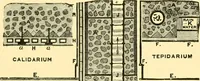 Picture 75 of 141 from History of ancient pottery, Greek, Etruscan, and Roman (1905), leaf 390