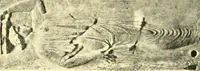 An illustration from History of ancient pottery, Greek, Etruscan, and Roman (1905)