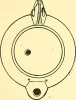 An illustration from History of ancient pottery, Greek, Etruscan, and Roman (1905)