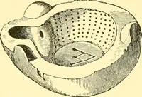 Picture 98 of 141 from History of ancient pottery, Greek, Etruscan, and Roman (1905), leaf 454