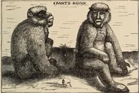Picture 81 of 280 from History of ancient, early Christian, and mediaeval painting (1906), leaf 222
