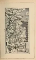 An illustration from History of ancient, early Christian, and mediaeval painting (1906)